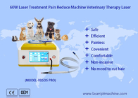 980nm Diode Veterinary Laser Therapy สำหรับการรักษาบาดแผลของสัตว์เลี้ยง