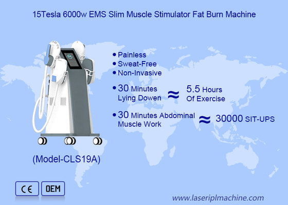 เครื่องปั้น Tesla EMS สําหรับการเผาไขมันและปั้นร่างกาย