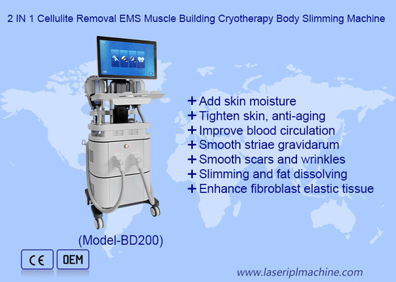 EMS RF กล้ามเนื้อสร้าง 40k Cavitation 360 เครื่องเย็นไขมัน Cryotherapy