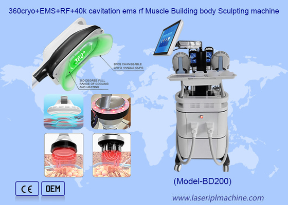 2 ใน 1 เครื่องกําจัดเซลลูไลท์ EMS เครื่องสร้างกล้ามเนื้อ Cryotherapy เครื่องลดน้ําหนัก
