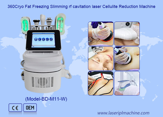 360 Cryo 40K Cavitation Body Sculpting กับมือขาสองเพื่อกําจัดเซลลูไลท์
