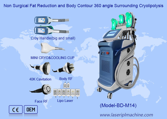 การลดไขมันโดยไม่ผ่าตัด และรูปร่างร่างกาย มุม 360 รอบๆ Cryolipolysis