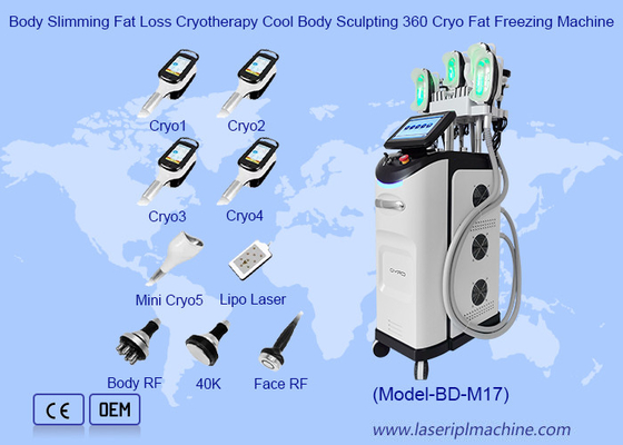 การลดน้ําหนัก ลดไขมัน Cryotherapy Cool Body Sculpting 360 เครื่องเย็นไขมัน