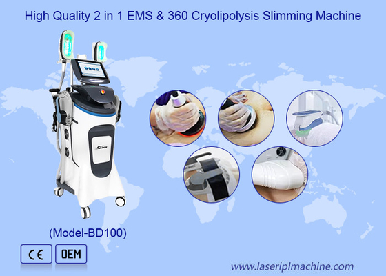เครื่องกระชับสัดส่วน Cryolipolysis แม่เหล็กไฟฟ้า 40k เพิ่มกล้ามเนื้อได้รับแช่แข็ง