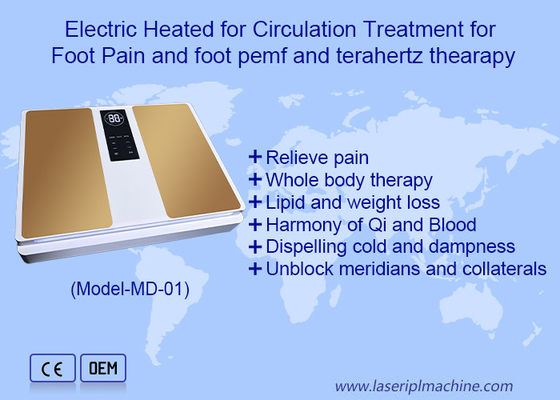 2in1 EMS Terahertz การดูแลสุขภาพสําหรับการนวดเท้า เครื่องบําบัด Terahertz