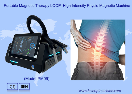 เครื่องบำบัด PMST Loop Pemf สำหรับบรรเทาอาการปวดในมนุษย์และการดูแลสุขภาพสัตว์