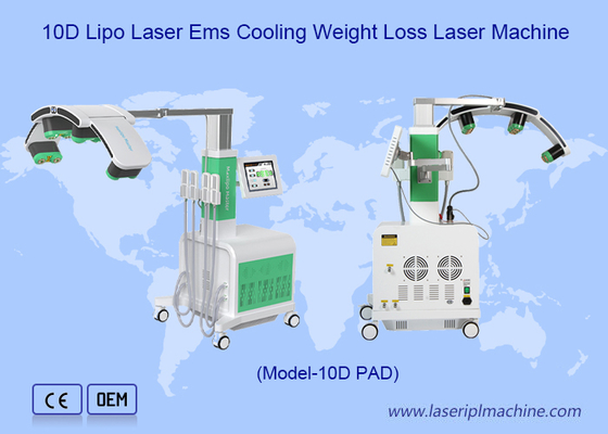 สีเขียวแดง Cryo Pads 10d เลเซอร์กําจัดไขมัน Maxlipo Master Device