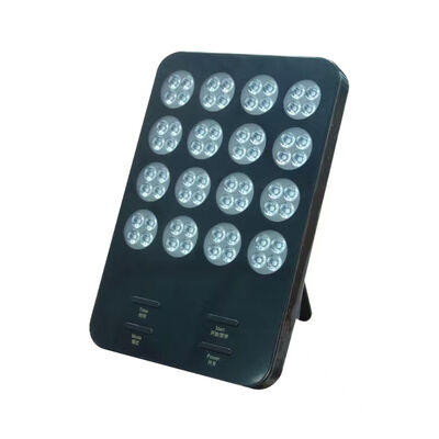 ราคาดี การใช้งานในบ้าน การกําจัดวงกลมมืด ป้องกันการแก่ตัว 620nm LED แผ่นบําบัดแสงแดง ออนไลน์