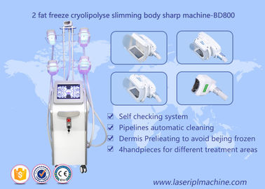 เครื่องกระชับสัดส่วนรูปร่าง Cryolipolysis Lipo Cryo Cryolipolysis อุปกรณ์ความงาม