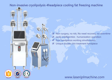Cryolipolysis แช่แข็งการสูญเสียไขมันลดน้ำหนักเครื่องสูญญากาศ Cavitation Rf เครื่อง