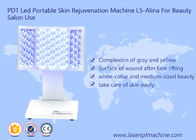 เครื่อง PDT Led Skin Rejuvenation แบบพกพา L5-Alina สำหรับเครื่องความงาม