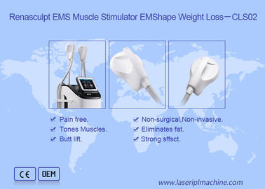 2.3KVA Body Slimming 220v 300µS EMS เครื่องกระตุ้นกล้ามเนื้อ