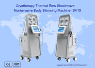 Cryolipolysis กายภาพบำบัด Shock Wave Machine ลดไขมัน Extracorporeal