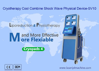 Cryolipolysis Termal Ems Shockwave Machine Pain Relief Beauty 4 แผ่นเย็น
