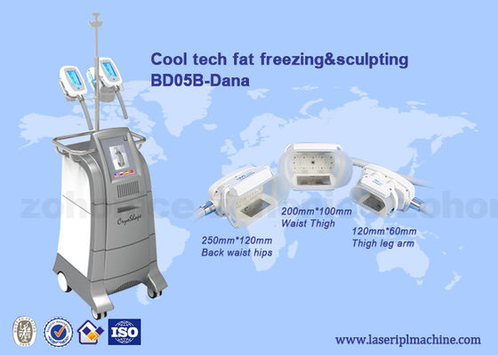 ราคาดี 3 Size handles cryolipolysis cool slim body sculpting equipment / criolipolisys machine ออนไลน์