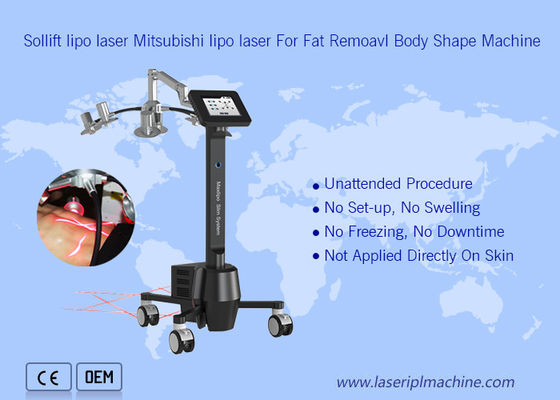 ราคาดี เครื่อง Cryolipolysis แบบพกพา 220v 6d Lipolaser Zerona Beauty ออนไลน์