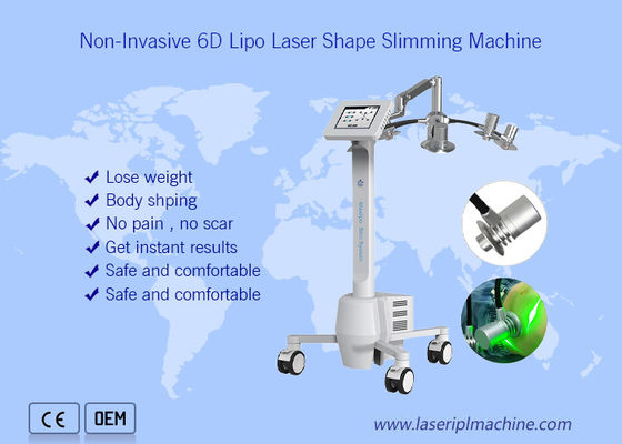 ราคาดี Non Invasive 532nm Cryolipolysis Slimming Machine ลดน้ำหนักทั้งตัว 6d Beauty ออนไลน์