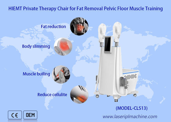 ราคาดี 2 Handles Buttbuck Lifting Weight Loss Ems Machine Sculpting Muscle Massage ออนไลน์