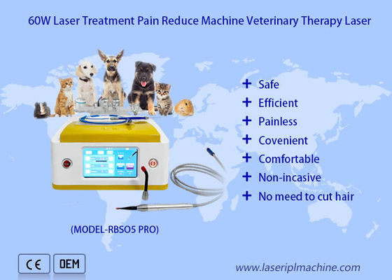 ราคาดี 980nm Diode Veterinary Laser Therapy สำหรับการรักษาบาดแผลของสัตว์เลี้ยง ออนไลน์
