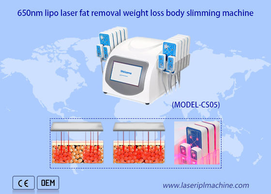 ราคาดี เครื่องเลเซอร์ Lipo แบบพกพา 650 นาโนเมตร Ultrashape Body Slimming Weight Loss ออนไลน์
