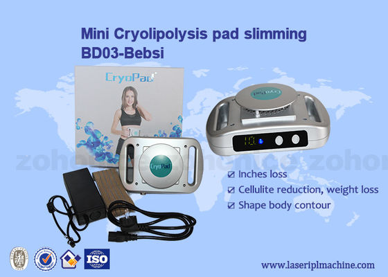 ราคาดี ใช้ในบ้านเครื่อง Cryolipolysis ขนาดเล็ก 220v / 110v ลดน้ำหนัก ออนไลน์