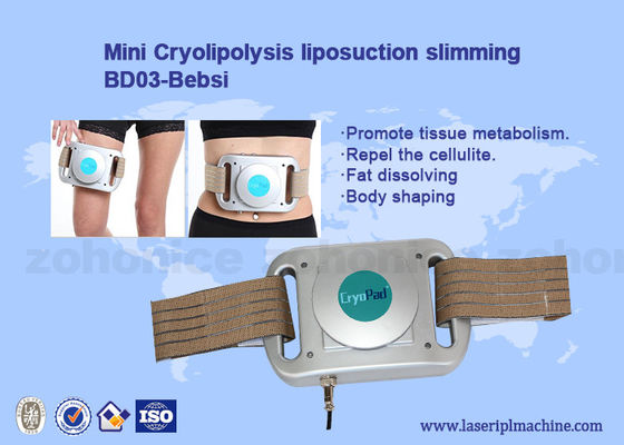 ราคาดี เครื่อง Cryolipolysis Freeze Fat Pads ออนไลน์