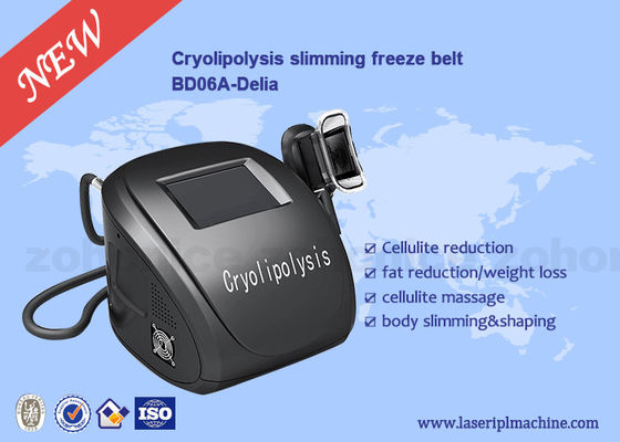 ราคาดี Portable Body Sculpting Cryolipolysis Slimming And Weight Loss Machine ออนไลน์