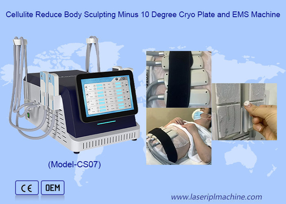 2 ใน 1 Cryo Plate และ EMS เครื่องลดน้ําหนักสําหรับไขมันแข็งผิวกระชับ