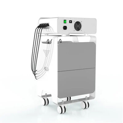 ราคาดี Ems ความถี่วิทยุ Eswt อุปกรณ์บรรเทาอาการปวดหลัง การดูแลสุขภาพ ออนไลน์