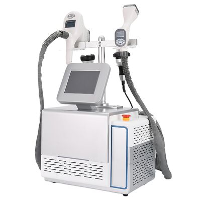 ราคาดี เครื่องลดน้ําหนักสําหรับการกําจัดเซลลูไลท์แบบพกพา Cryolipolysis Vacuum Rf 3IN1 ออนไลน์