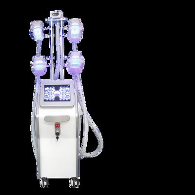 ราคาดี เครื่องลดน้ำหนัก cryolipolysis 4 เครื่อง / เครื่อง Cavitation สูญญากาศสำหรับแช่แข็งไขมัน ออนไลน์