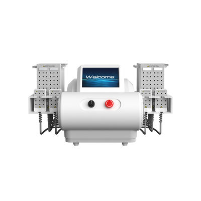 635nm 650nm 940nm 980nm ไดโอเดสเลเซอร์ EMS แผ่นลดไขมันเครื่องลดน้ําหนัก