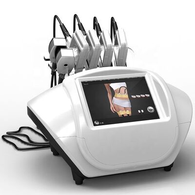 ราคาดี หน้าจอสัมผัสน้ำแข็งคูลลิ่ง Lipolaser Slimming Beauty Machine 650nm ออนไลน์