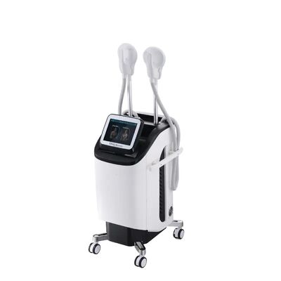 ราคาดี 300µS Clinic 220v EMT Cavitation Body Slimming Machine ออนไลน์