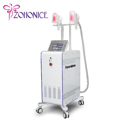 ราคาดี 2 Changeable Handle Cryolipolysis Slimming Machine With Antifreezing Membrance ออนไลน์