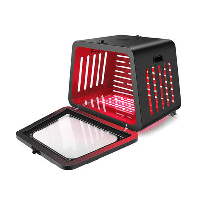 ราคาดี สัตว์เลี้ยงสัตว์เลี้ยง ปวดลดการอักเสบ ลด NIR LED แผ่นการรักษาแสงแดง ออนไลน์