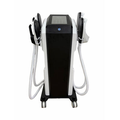 ราคาดี การลดไขมัน การกระชับผิวหนัง การปั้นร่างกาย RF EMS เครื่องกระตุ้นกล้ามเนื้อ ออนไลน์