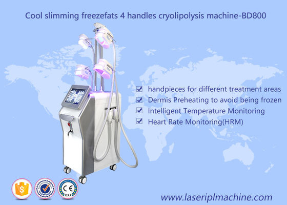 ราคาดี เครื่องลดน้ำหนัก cryolipolysis 4 เครื่อง / เครื่อง Cavitation สูญญากาศสำหรับแช่แข็งไขมัน ออนไลน์