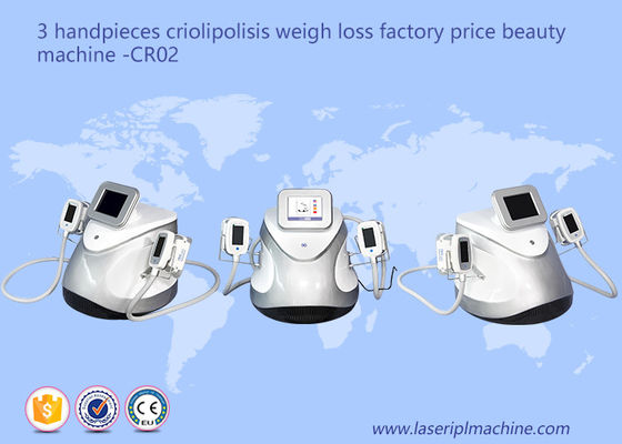 ราคาดี 3 Handpieces Cryolipolysis Slimming Machine อุปกรณ์ลดน้ำหนักลดความอ้วน CR02 ออนไลน์