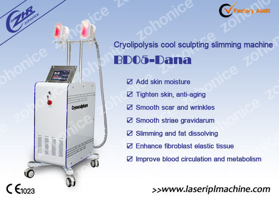 ราคาดี 2 Changeable Handle Cryolipolysis Slimming Machine With Antifreezing Membrance ออนไลน์