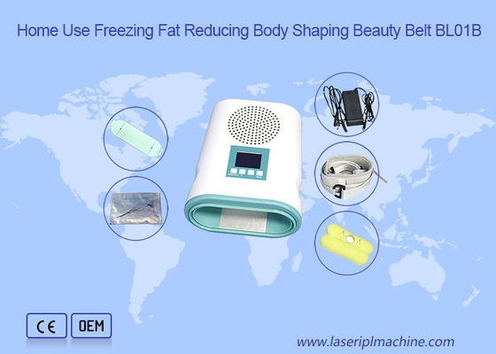 ราคาดี ใช้ในบ้านเครื่องลดไขมัน Cryolipolysis Slimming 12V ออนไลน์