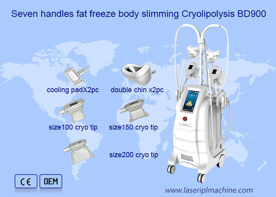 ราคาดี เครื่อง Cryolipolysis กำจัดไขมันคู่แช่แข็ง ออนไลน์