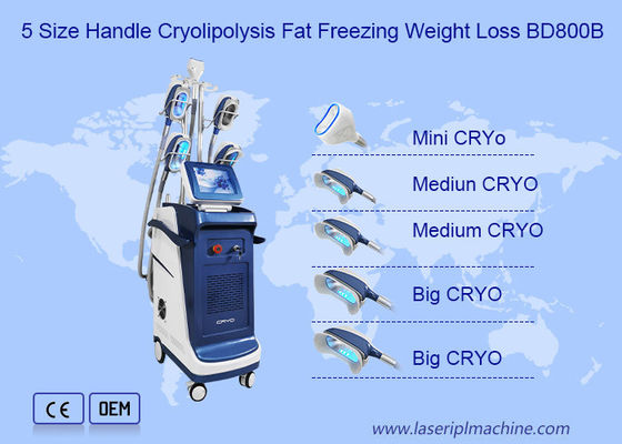 ราคาดี เครื่องกระชับสัดส่วน Cryolipolysis คางคู่แนวตั้ง 360 มุม ออนไลน์