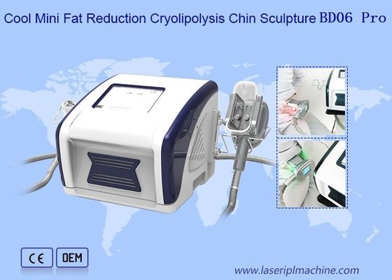 ราคาดี เครื่องกระชับสัดส่วน Cryolipolysis ลดไขมันขนาดเล็ก 12V เย็น ออนไลน์